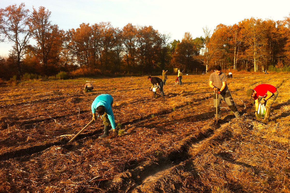 Vous consultez actuellement Bac professionnel Forêt